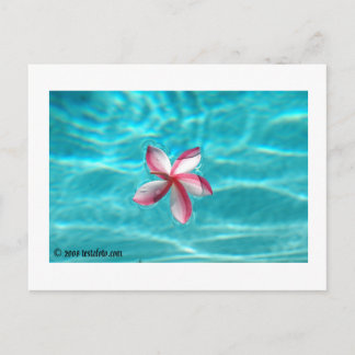 Hawaiiaans Briefkaart Plumeria