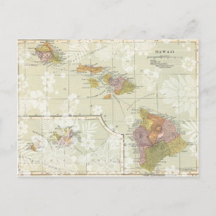 Hawaiiaans Briefkaart Save the Date