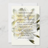 Hawaiiaanse bruiloft Frangipani uitnodiging (Voorkant)