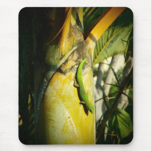 Hawaiiaanse gekko tropische mousepad muismat