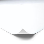 Hawaiiaanse hagedis Gecko Perfect Poster (Hoek)