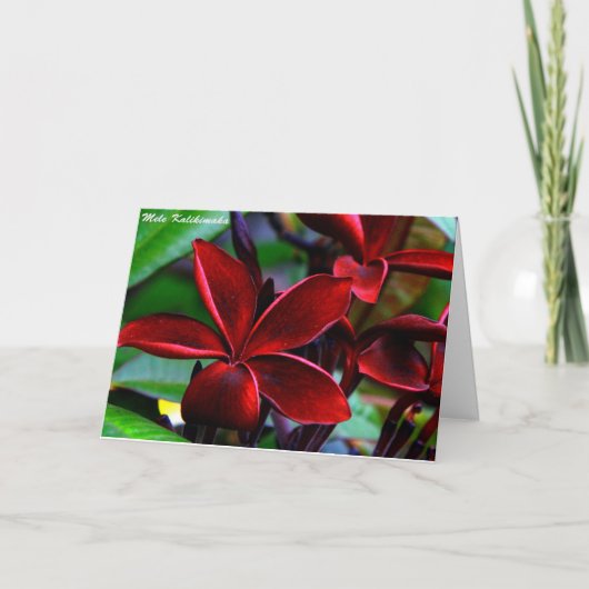 Hawaiiaanse Kerstkaarten Feestdagen Kaart (Voorkant)