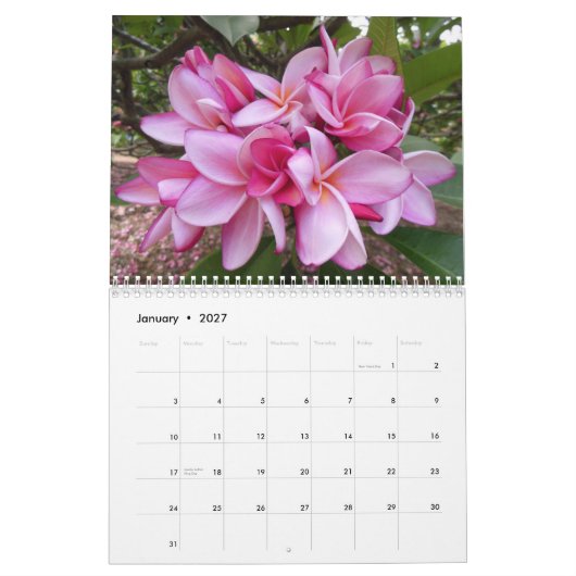 Hawaiiaanse Plumerias Kalender (Jan 2027)