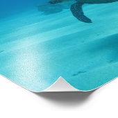 Hawaiiaanse schildpad foto afdruk (Hoek)