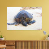 Hawaiiaanse schildpad op het strand canvas afdruk (Insitu (Woonkamer))