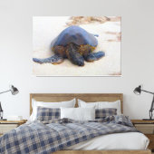 Hawaiiaanse schildpad op het strand canvas afdruk (Insitu (Slaapkamer))