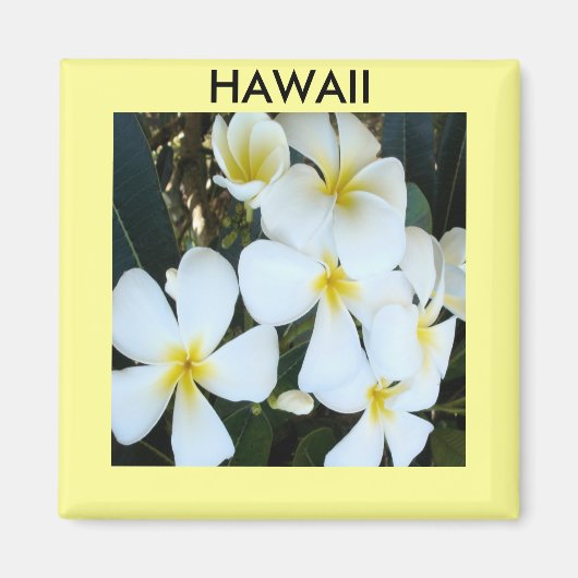 Hawaiiaanse tropische bloemen magneet (Voorkant)