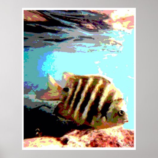 Hawaiiaanse vis poster (Voorkant)