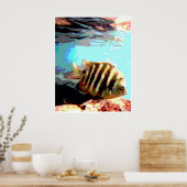 Hawaiiaanse vis poster (Keuken)