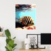 Hawaiiaanse vis poster (Thuiskantoor)