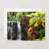 Hawaiiaanse watervallen briefkaart (Voorkant / Achterkant)