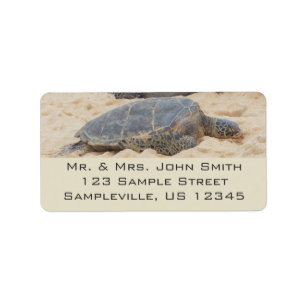 Hawaiiaanse zeeschildpad etiket