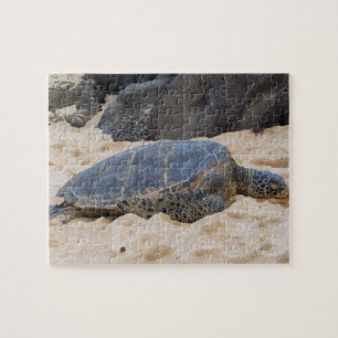 Hawaiiaanse zeeschildpad legpuzzel