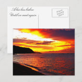 Hawaiiaanse zonnebanken briefkaart (Voorkant / Achterkant)