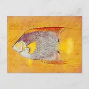  Hawaiian Angel Fish - Antiek Hawaii Briefkaart