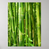Hawaiian Bamboo Poster (Voorkant)
