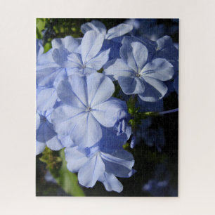 Hawaiian Blue Plumbago Legpuzzel