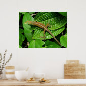 Hawaiian Chameleon Poster (Keuken)