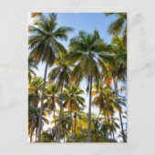 Hawaiian Exotic Beach Palm Trees Briefkaart (Voorkant)