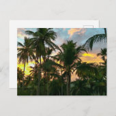 Hawaiian Exotic Beach Palm Trees Briefkaart (Voorkant / Achterkant)