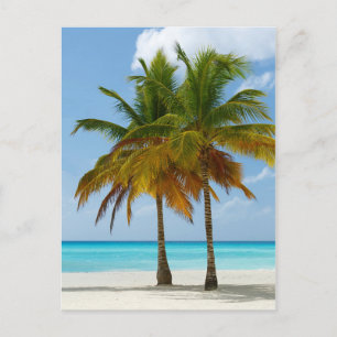 Hawaiian Exotic Beach Palm Trees Briefkaart