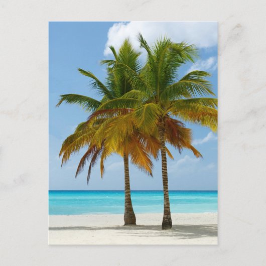 Hawaiian Exotic Beach Palm Trees Briefkaart (Voorkant)