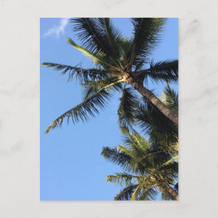 Hawaiian Exotic Beach Palm Trees Briefkaart