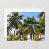 Hawaiian Exotic Beach Palm Trees Briefkaart (Voorkant / Achterkant)