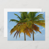 Hawaiian Exotic Beach Palm Trees Briefkaart (Voorkant / Achterkant)
