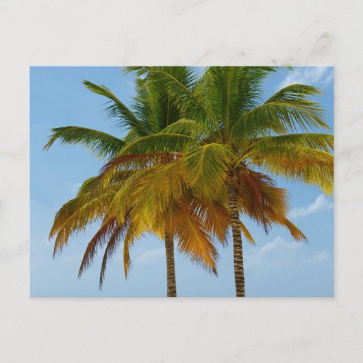 Hawaiian Exotic Beach Palm Trees Briefkaart (Voorkant)