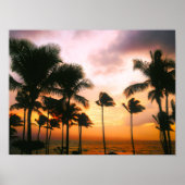 Hawaiian Exotic Beach Palm Trees Poster (Voorkant)
