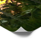 Hawaiian Exotic Beach Palm Trees Poster (Hoek)