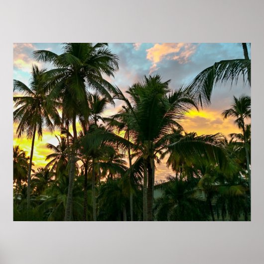 Hawaiian Exotic Beach Palm Trees Poster (Voorkant)