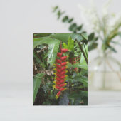 Hawaiian Firecracker Briefkaart (Staand voorkant)