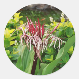 Hawaiian Flower Ronde Sticker