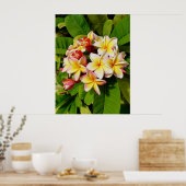 Hawaiian Frangipani Poster (Keuken)