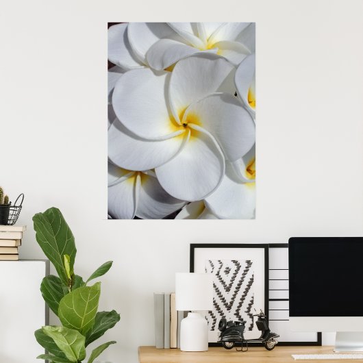 Hawaiian Frangipani Poster (Thuiskantoor)