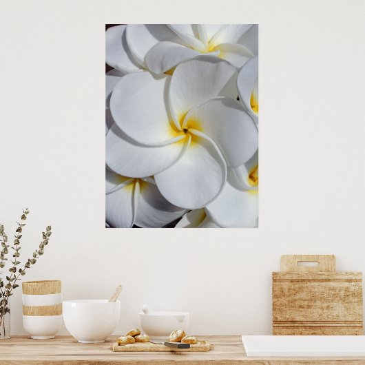 Hawaiian Frangipani Poster (Keuken)
