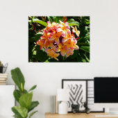 Hawaiian Frangipani Poster (Thuiskantoor)