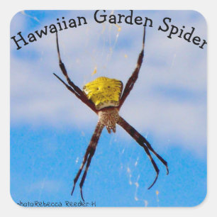 Hawaiian Garden Spider Vierkante Sticker