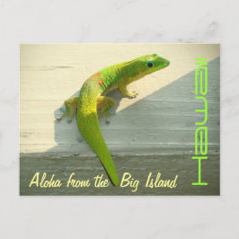 Hawaiian gecko briefkaart groet