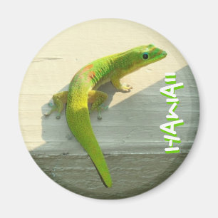 Hawaiian gecko magnet magneet