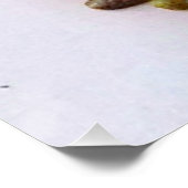 Hawaiian Gecko Perfect Poster (Hoek)