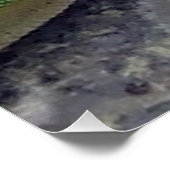 Hawaiian Gecko Perfect Poster (Hoek)