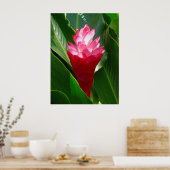 Hawaiian Ginger Poster (Keuken)
