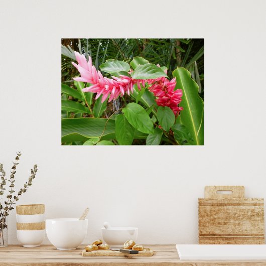 Hawaiian Ginger Poster (Keuken)