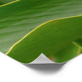 Hawaiian Ginger Poster (Hoek)