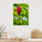Hawaiian Ginger Poster (Keuken)