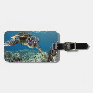 Hawaiian Green Zee Turtle Bagagelabel