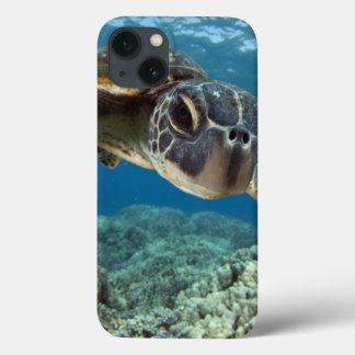 Hawaiian Green Zee Turtle iPhone 13 Hoesje